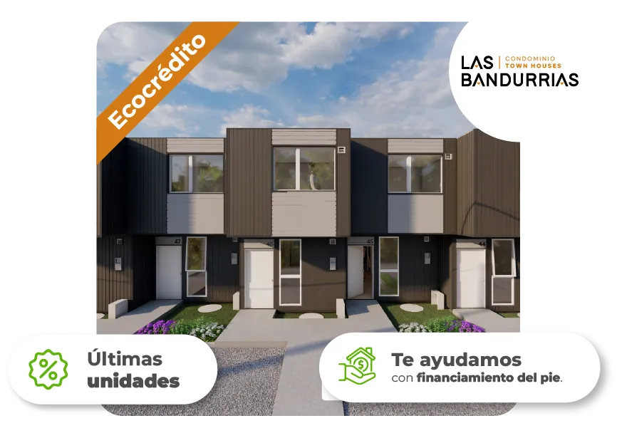 bandurrias_desktop_25-02